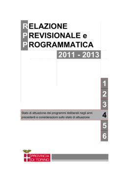 Sezione 4 - Stato di attuazione dei programmi