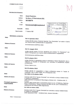 curriculum vitae