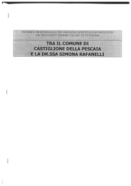 Incarico Direttore Museo 2011 - Comune di Castiglione della Pescaia