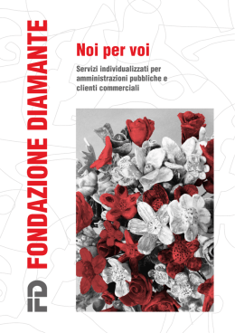 Noi per voi - Fondazione Diamante