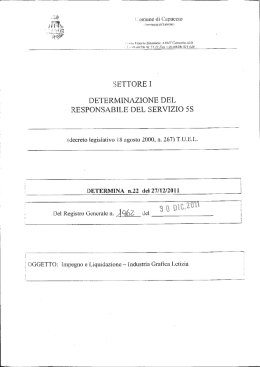 settore i determinazione del