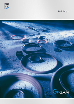 O-Rings - Ecoseal Co.,Ltd.