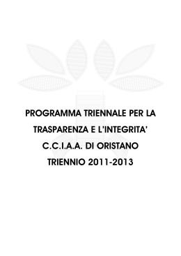 Programma triennale trasparenza 2011-2013 - alleg