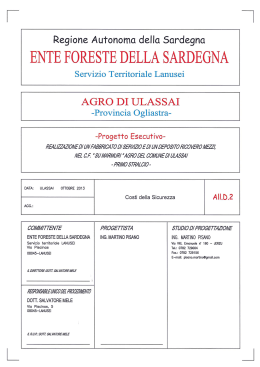 D.2 Costi della Sicurezza [file ]