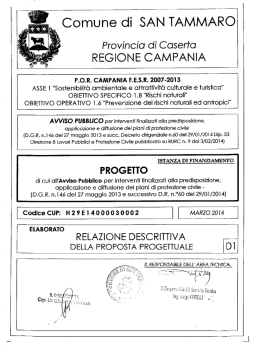 relazione descrittiva 01