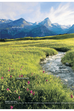 Scopri il tuo intuito. Scopri i tuoi valori. Consiglio 73: Alp Flix, Parc