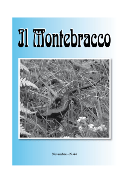 Montebracco Novembre 2012