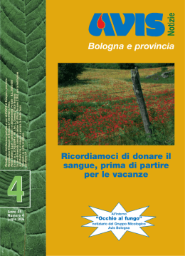 Notiziario Luglio 2006( 2 MB)