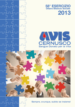 Scarica il bilancio sociale del 2013
