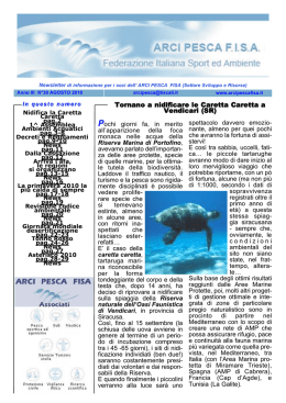 Numero 30 - Agosto 2010