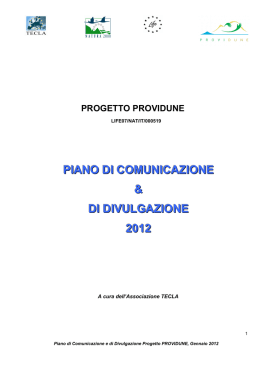 Providune-Piano Comunicazione 2012 _def