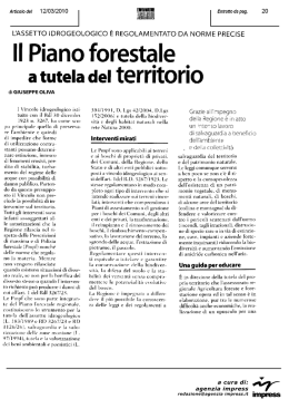 Il Piano forestale