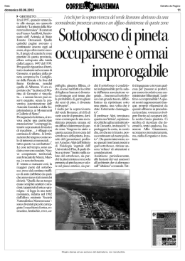 Sottobosco di pineta occuparsene ormai improrogabile