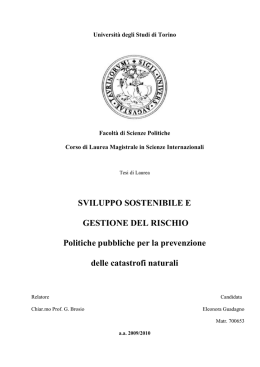Sviluppo sostenibile e gestione del rischio Politiche