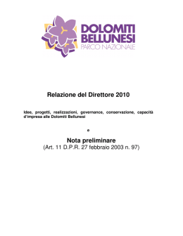 Nota preliminare e relazione direttore 2010