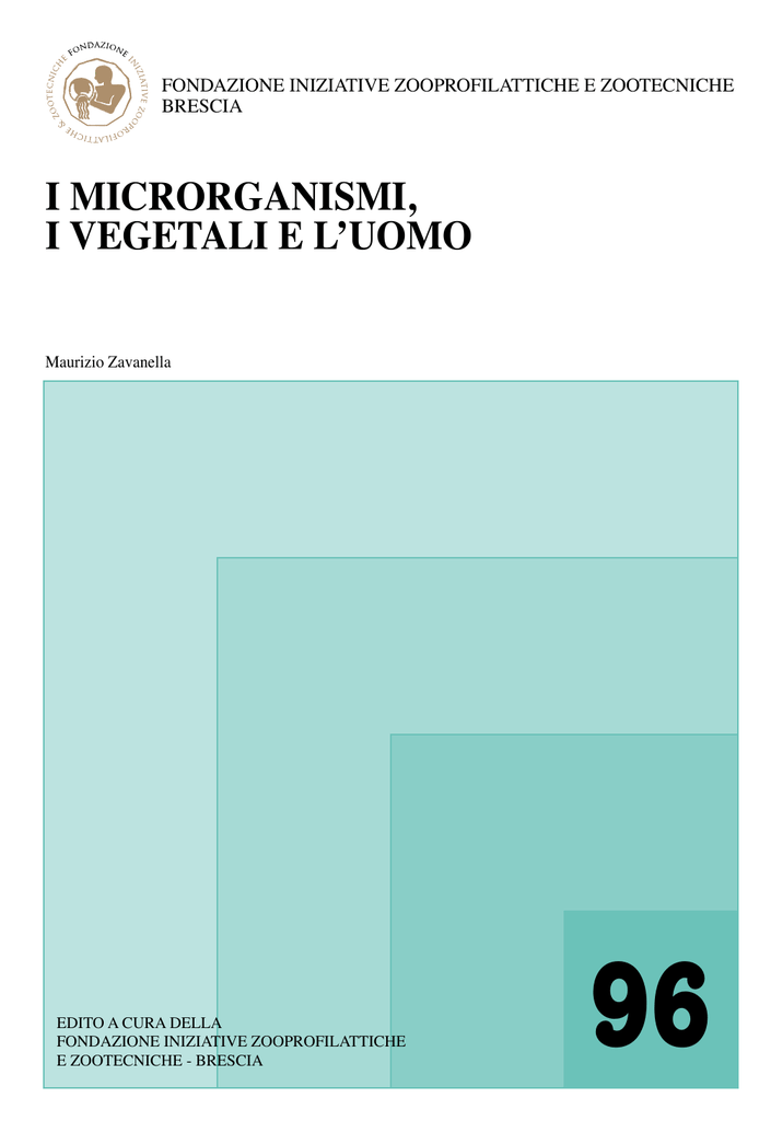 bruciatore di grasso idrossilato comprare online bruciatore di grasso idrossilato comprare online