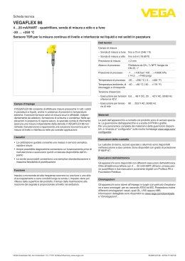 VEGAFLEX 86 - VEGA Americas, Inc.