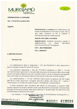 scarica la determina a contrarre