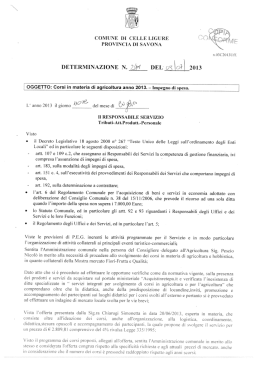 DETERMINAZIONE N. DEL _:/fQ>\оо} i 2013