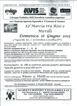 volantino - GSD VTV Abbiategrasso