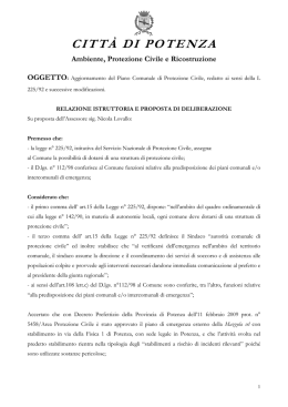 Delibera-Piano2010