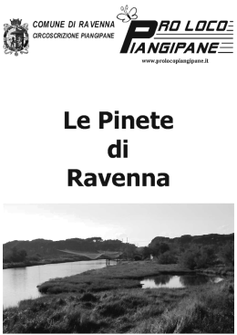 Le Pinete - Pro Loco Piangipane