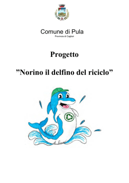 Norino il delfino del riciclo