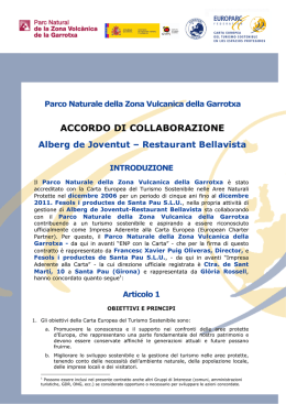 All 5 Esempio Accordo Collaborazione