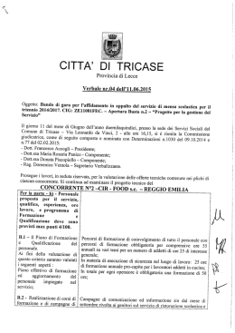 Page 1 CITTA` DI TRICASE Provincia di Lecce Verbale nr.04 dell