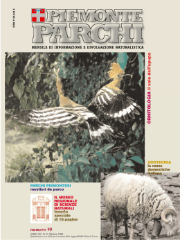 numero 90 - Natura Web