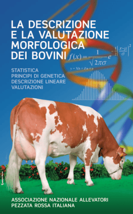 Manuale_morfologia