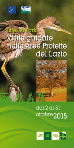 Scarica la versione stampabile