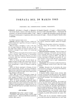 resoconto stenografico