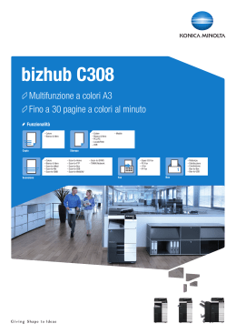 Brochure bizhub C308