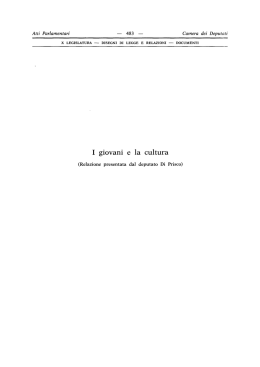 Documento interno della X legislatura
