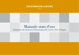 Manuale stato d`uso