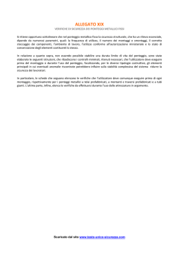 allegato xix - Testo Unico Sicurezza