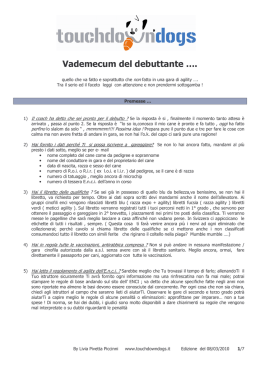 Vademecum del debuttante