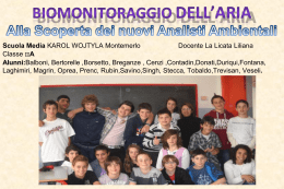 Scuola Media di Montemerlo