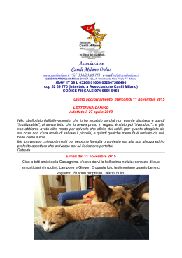 Associazione Canili Milano Onlus