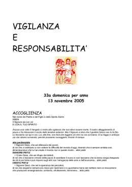 vigilanza e responsabilita