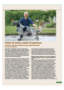 LEGGI tutto l`articolo - desianensis.it | Allevamento Setter Inglesi