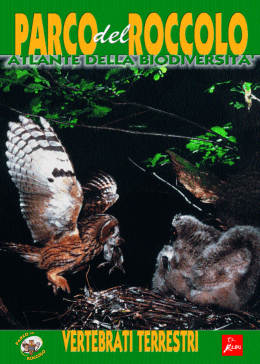 Interno libretto 2003