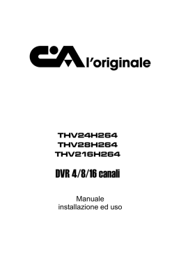 Manuale Geser DVR serie 106 V1 0
