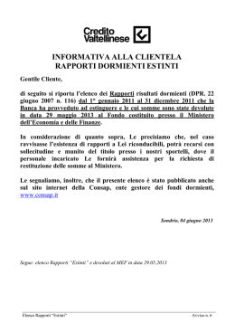 CV_InternetRapportiDevoluti_20130529_06