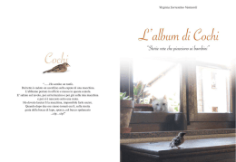 L`album di Cochi - Lino Franceschini