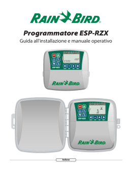 Programmatore ESP-RZX