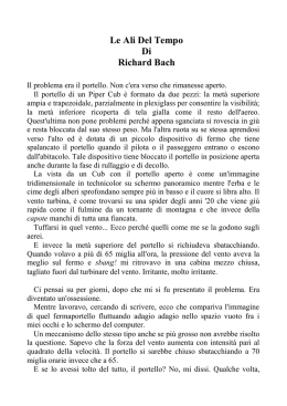 Le Ali Del Tempo Di Richard Bach