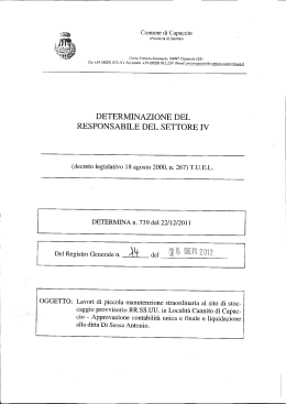 determinazione del responsabile del settore iv