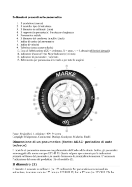 Dimensione di un pneumatico (fonte: ADAC